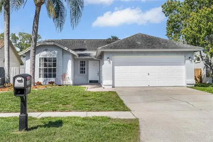 TAMPA FL Home