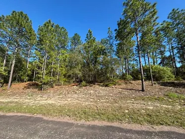 CITRUS SPRINGS FL Property