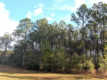 LECANTO FL Property