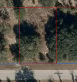 WILLISTON FL Property