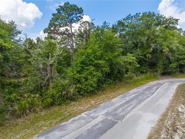 CRYSTAL RIVER FL Property