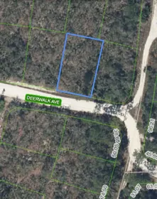 LAKE PLACID FL Property