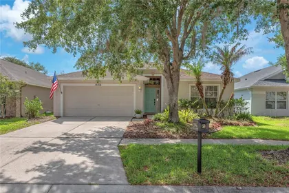LITHIA FL Home