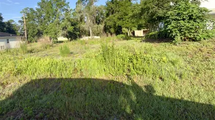 DELAND FL Property