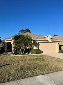 LAND O LAKES FL Home