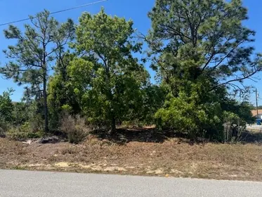 SPRING HILL FL Property