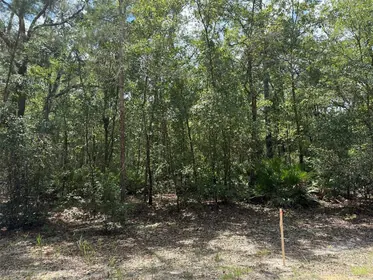 FLORAHOME FL Property