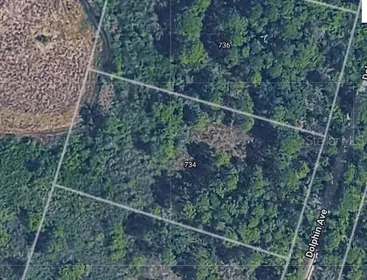 LAKE PLACID FL Property