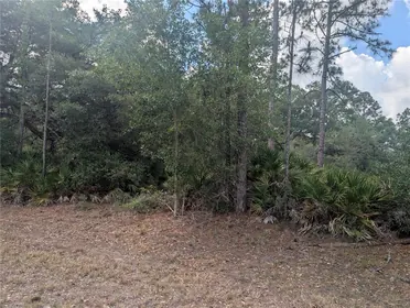 INDIAN LAKE ESTATES FL Property