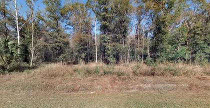 HASTINGS FL Property