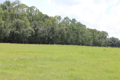 CLERMONT FL Property