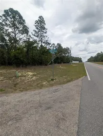 CITRUS SPRINGS FL Property