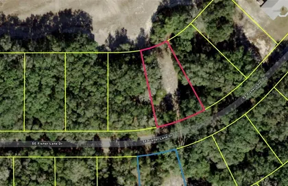 OCKLAWAHA FL Property