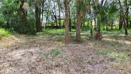 MOUNT PLYMOUTH FL Property