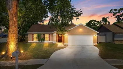 BRANDON FL Home