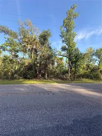 CRYSTAL RIVER FL Property