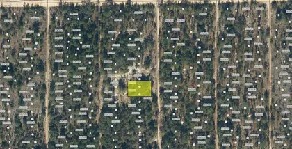 INTERLACHEN FL Property