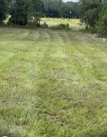 CRESCENT CITY FL Property
