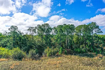 WINTER HAVEN FL Property