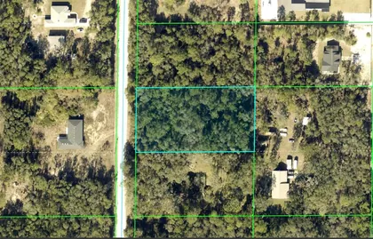 WEBSTER FL Property