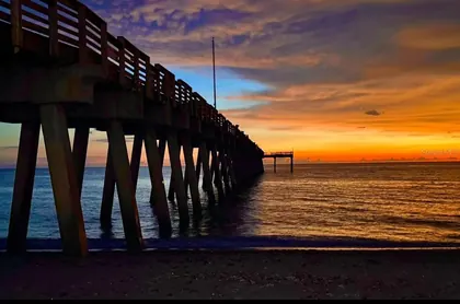 VENICE FL Property