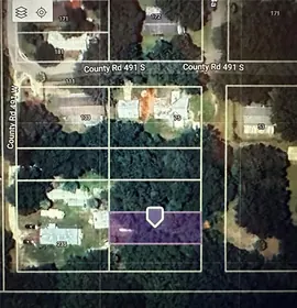 LAKE PANASOFFKEE FL Property