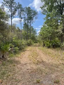 CITRA FL Property