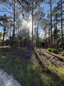 GEORGETOWN FL Property