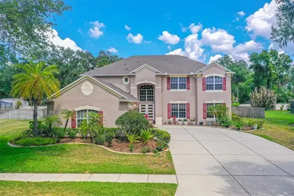 SEFFNER FL Home
