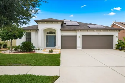WESLEY CHAPEL FL Home