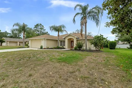 SPRING HILL FL Home