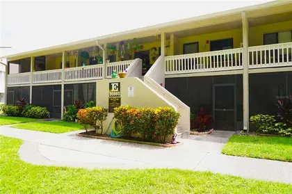 LUTZ FL Home