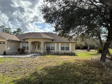 WEEKI WACHEE FL Home