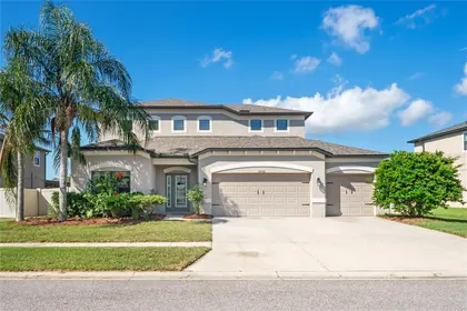 SPRING HILL FL Home