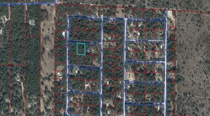BRONSON FL Property