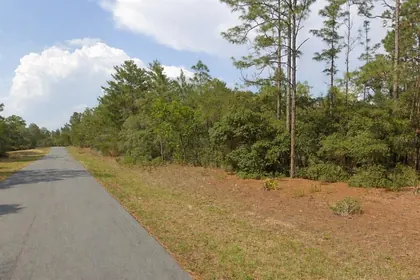 CITRUS SPRINGS FL Property