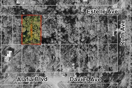 BRANDON FL Property