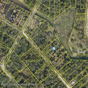 WEBSTER FL Property