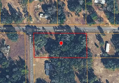 HERNANDO FL Property