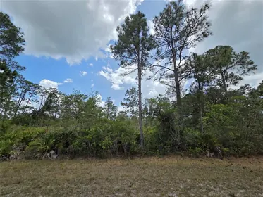 INDIAN LAKE ESTATES FL Property