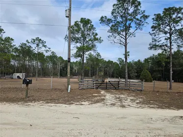 WILLISTON FL Property
