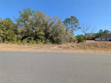 DUNNELLON FL Property