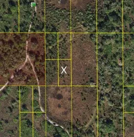 LAKE WALES FL Property