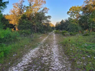 WILLISTON FL Property