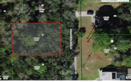 HOMOSASSA FL Property