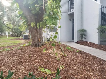 TAMPA FL Home