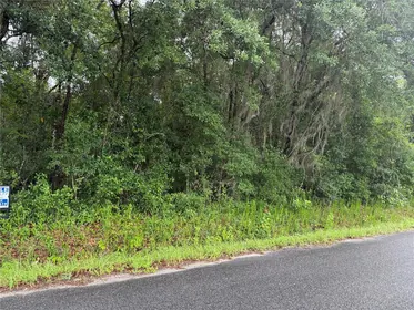 EAST PALATKA FL Property