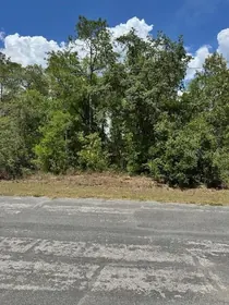 DUNNELLON FL Property