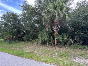 PORT CHARLOTTE FL Property