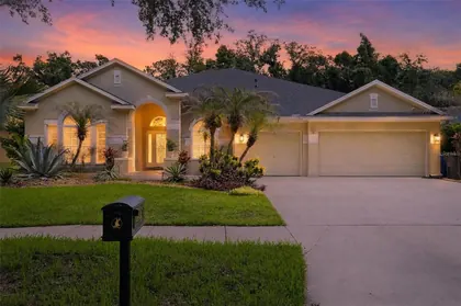 LITHIA FL Home